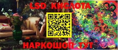молекула духа Будённовск