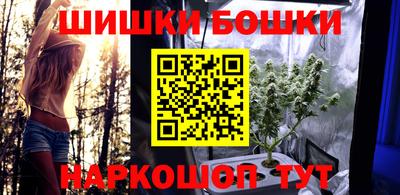 молекула духа Будённовск