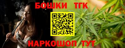 молекула духа Будённовск