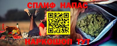 молекула духа Будённовск