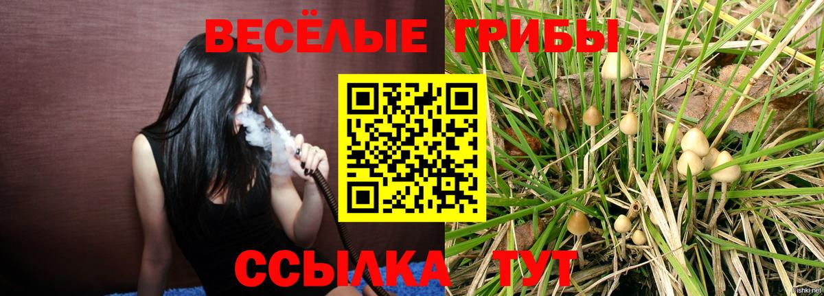 Галлюциногенные грибы MAGIC MUSHROOMS  Вход с VPN  купить наркотики цена  Семёнов  Псилоцибиновые грибы Psilocybine cubensis 